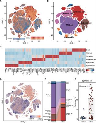 Hepatocellular carcinoma subtypes based on metabolic pathways reveals potential therapeutic targets